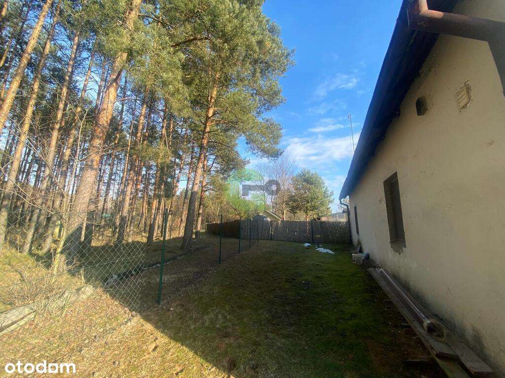 Dom w pobliżu rzeki i lasów - Pełny obrazek: 4/20