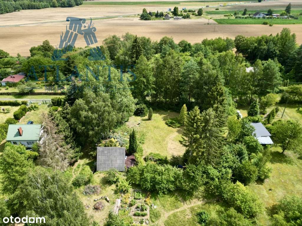 Działka budowlana  ze ścianą lasu Bory Tucholskie - Pełny obrazek: 5/12