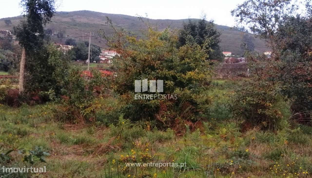 Venda de terreno para construção, Carvoeiro, Viana do Castelo - Grande imagem: 2/30