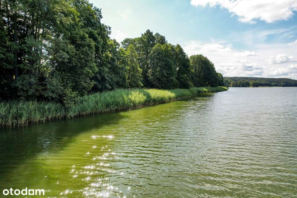 Piękny widok na jezioro Wierzbowskie i dostęp do wspólnego pomostu!-0
