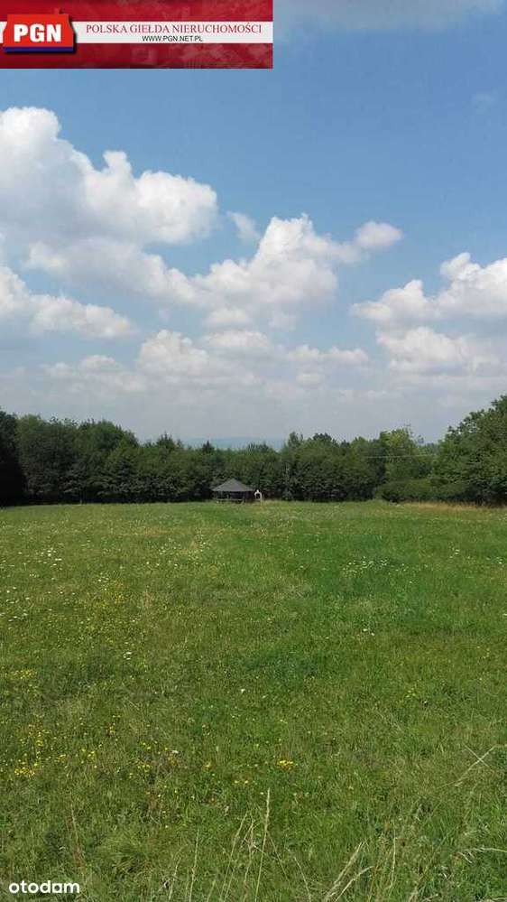 Działka w Polanicy Zdrój - Pełny obrazek: 5/7