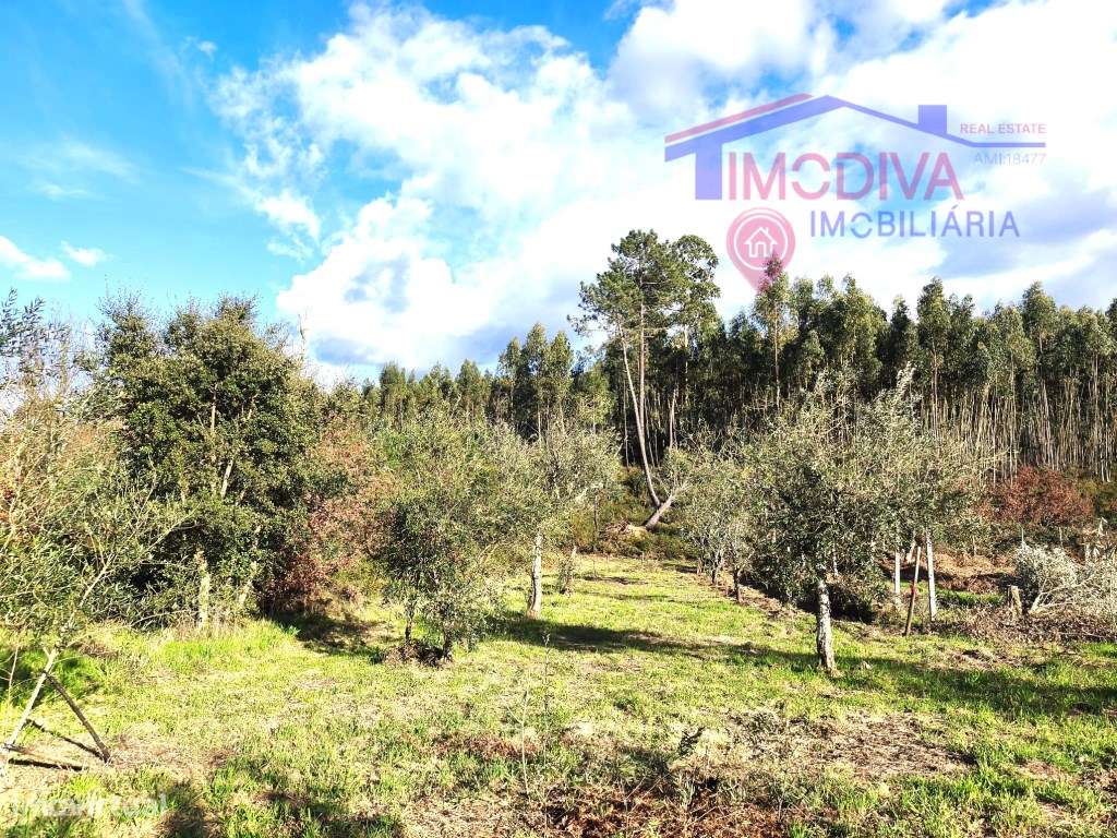 Casa de campo com terreno em Bairradas-25