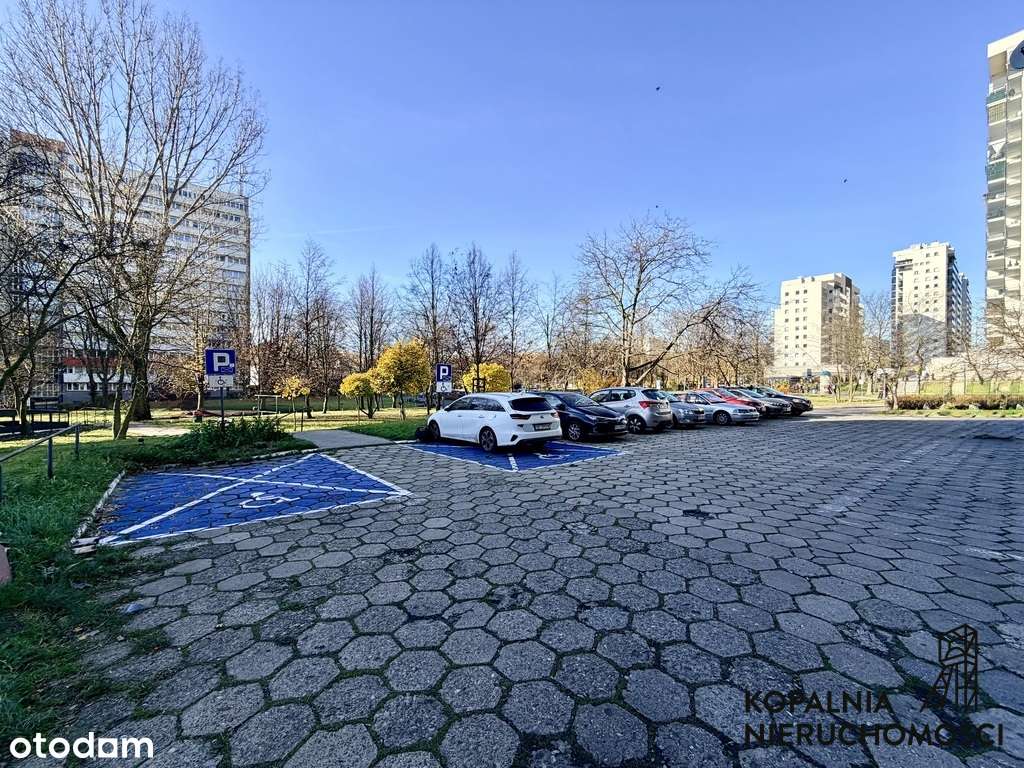 Lokal z witryną 145m2 | os. Tysiąclecia - Pełny obrazek: 5/17