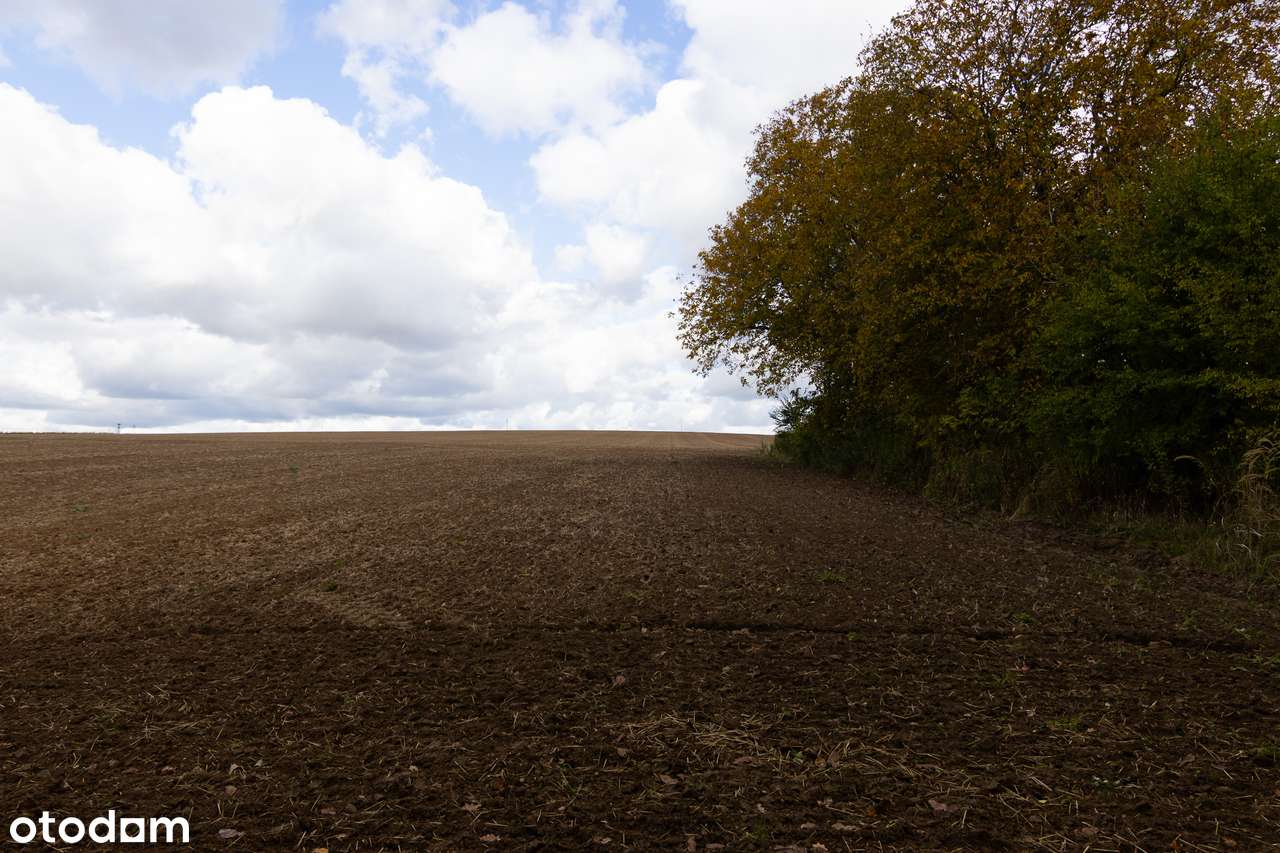 Działka budowlana Chmiel - Kolonia-10