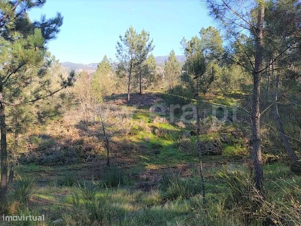 Terreno / Marco de Canaveses, Várzea, Aliviada e Folhada - Grande imagem: 2/10