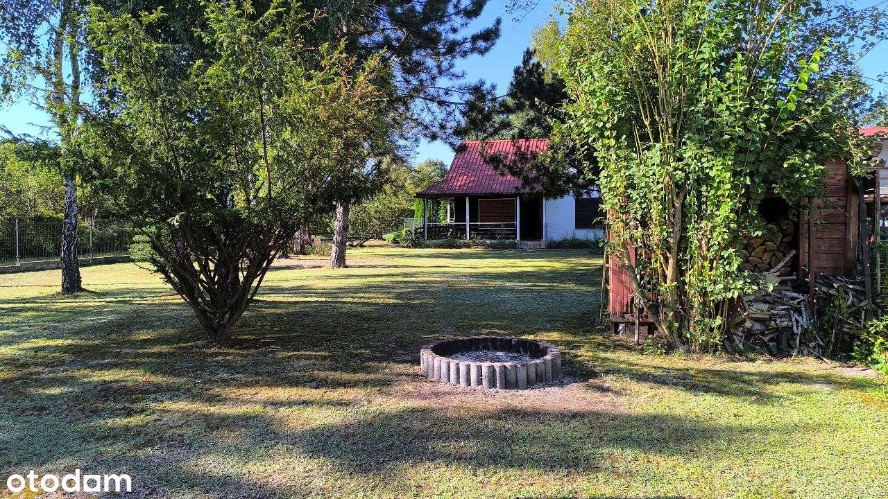 Piękna działka rekreacyjna z domkiem - ROD Brodła - Pełny obrazek: 5/20