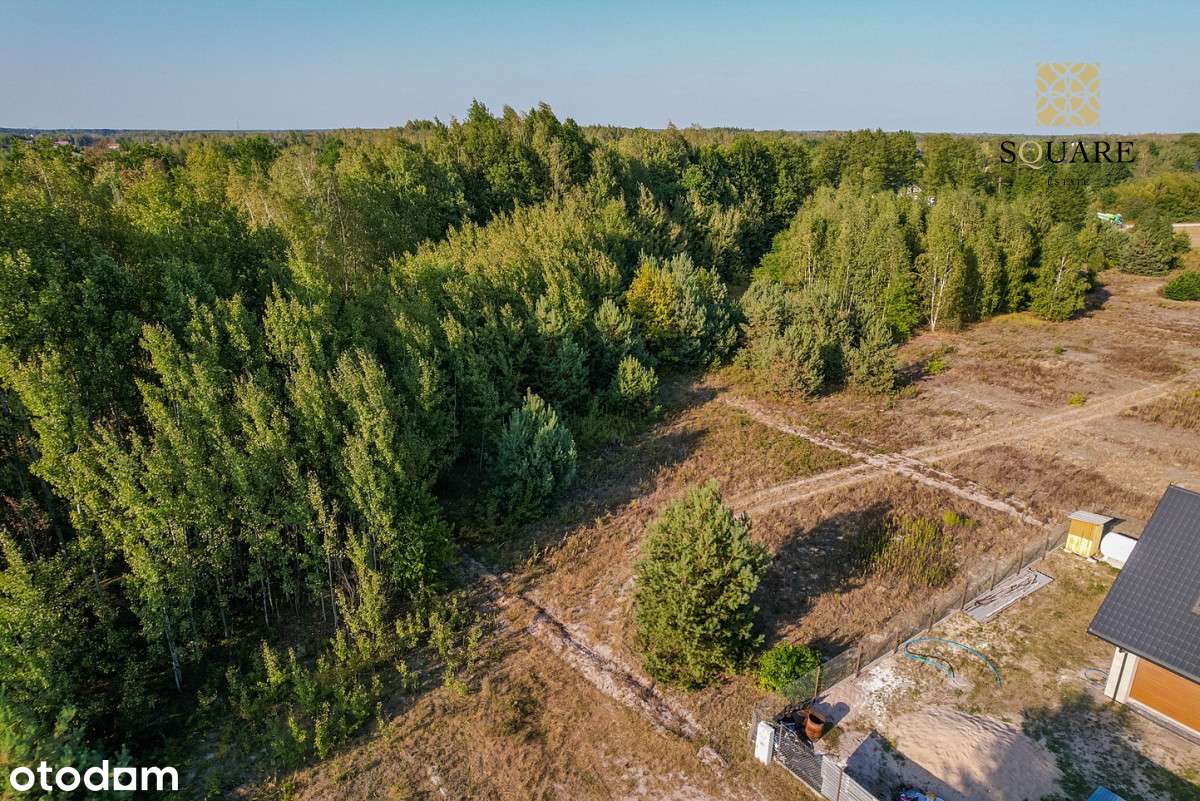 Ostatnia działka w drodze blisko stacji Czachówek - Pełny obrazek: 4/10