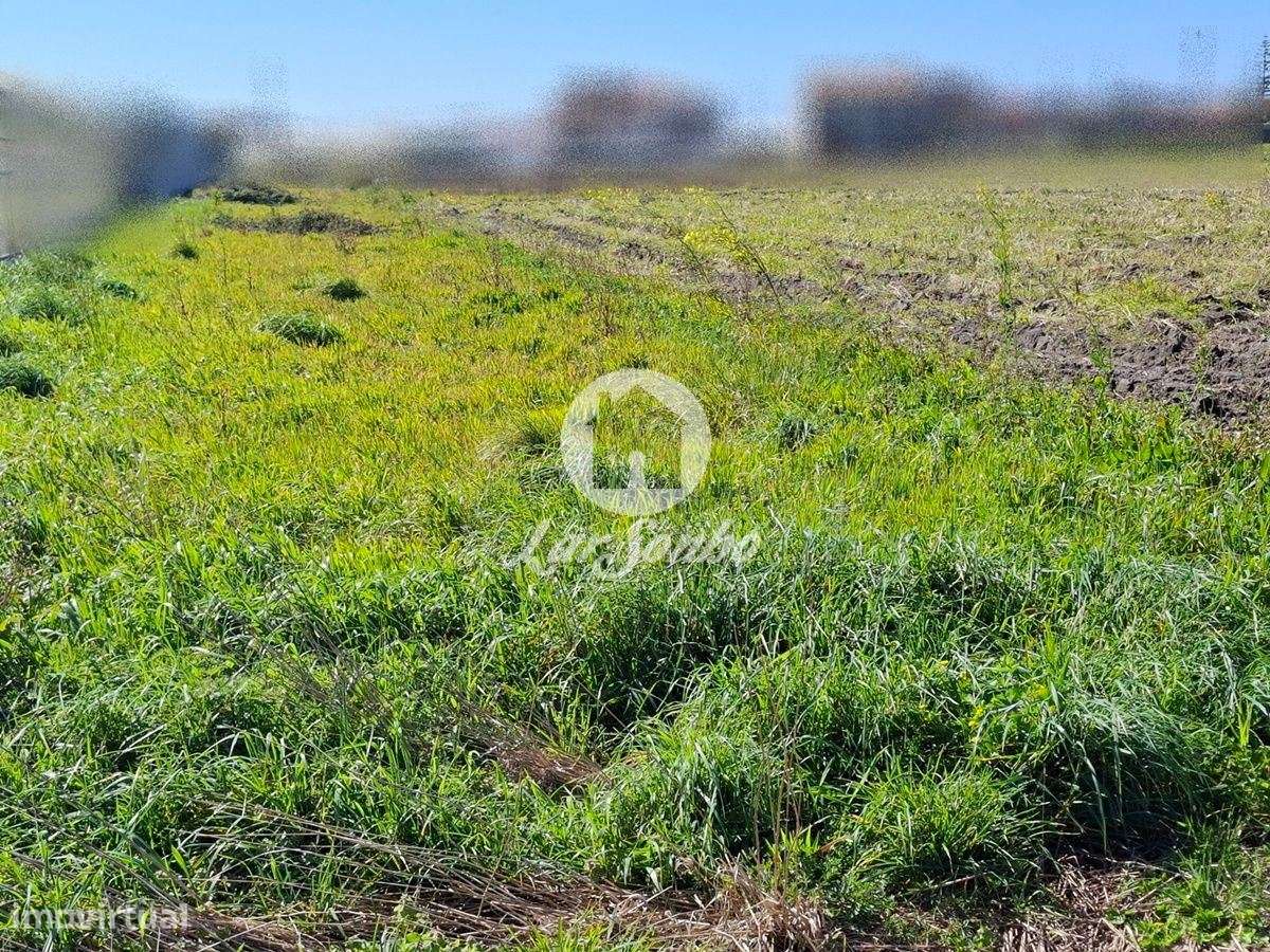 Terreno com 950m² em Aguçadoura - Grande imagem: 4/13