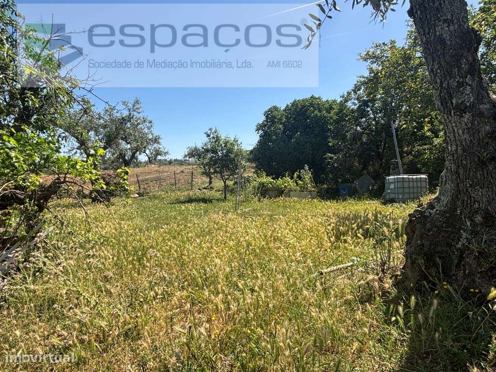 Terreno-12