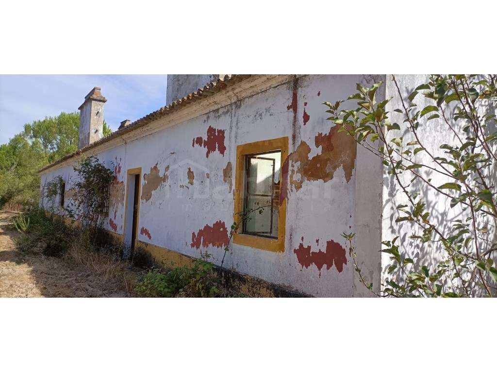 Monte com Moradia para Restauro - Grande imagem: 2/12