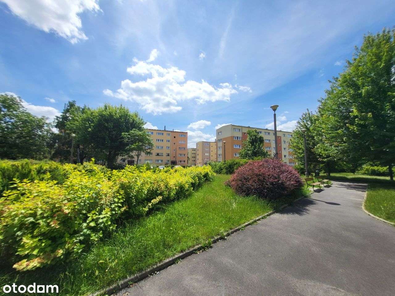 Słoneczne, z widokiem na park, wolne od zaraz!