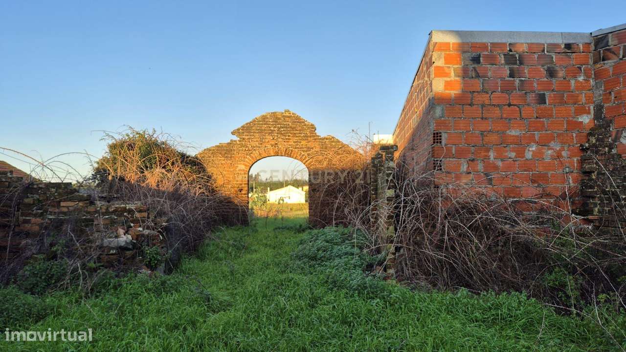 Casa Antiga em Carriço, Pombal - Oportunidade Única-10