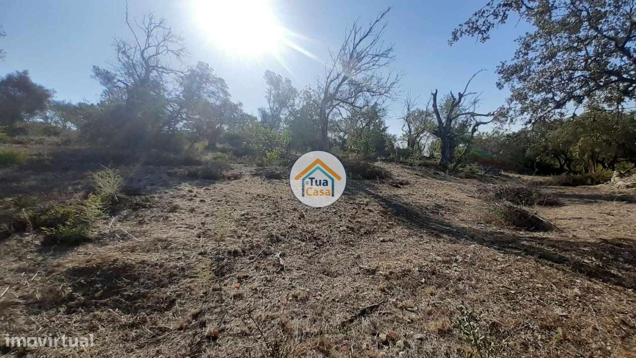 Terreno Rústico nos arredores de São Brás de Alportel - Grande imagem: 3/15