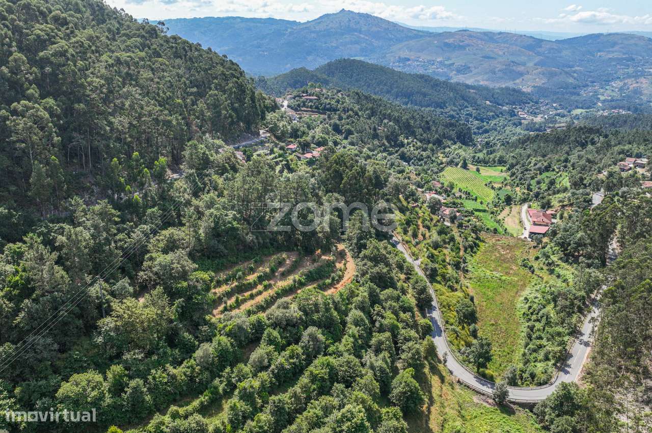 Terreno Rústico com Nascente em Seramil - Grande imagem: 5/16