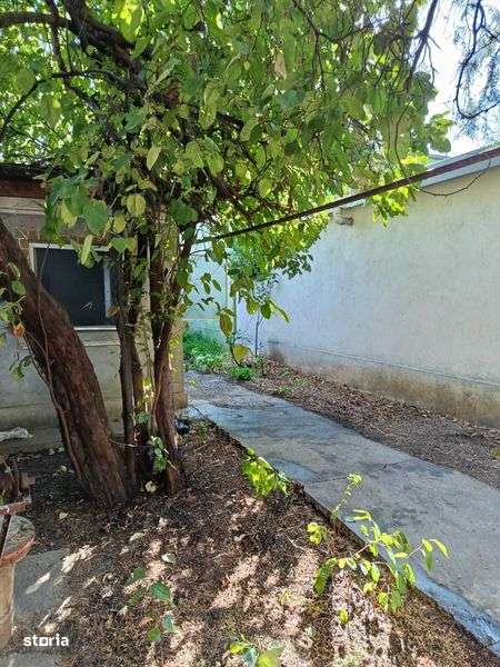 Casa singur curte - Imagine principală: 4/5