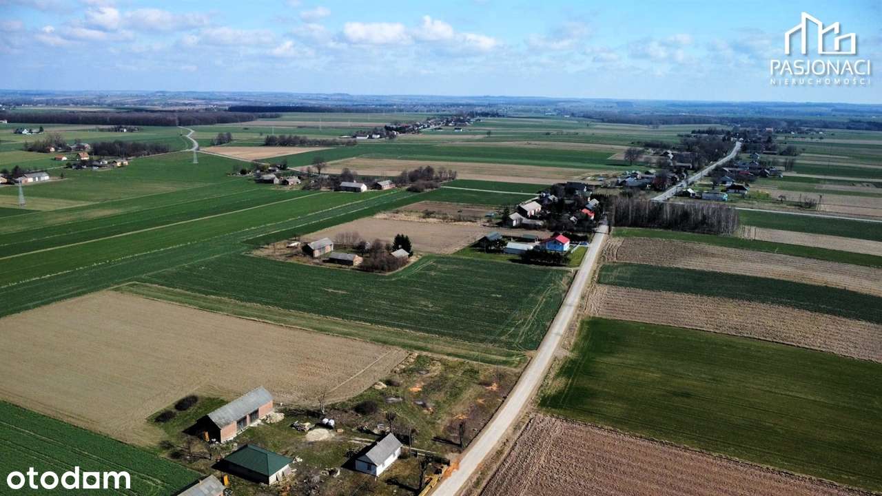 Działka budowlana 3050 m2 w atrkcyjnej cenie - Pełny obrazek: 5/5