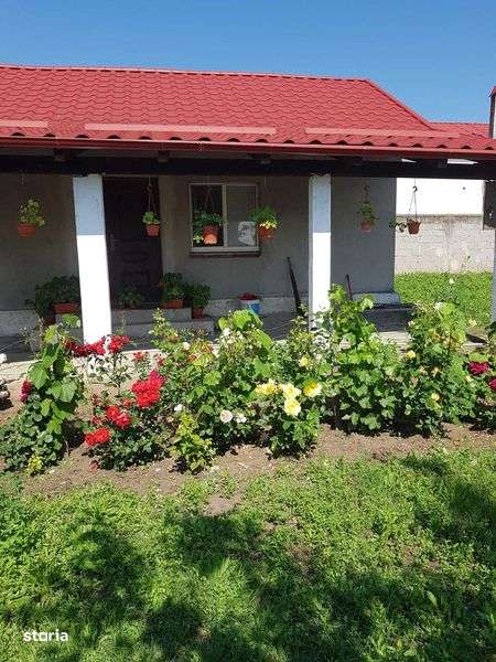 Teren + casa  27 Km de CRAIOVA - Imagine principală: 5/8