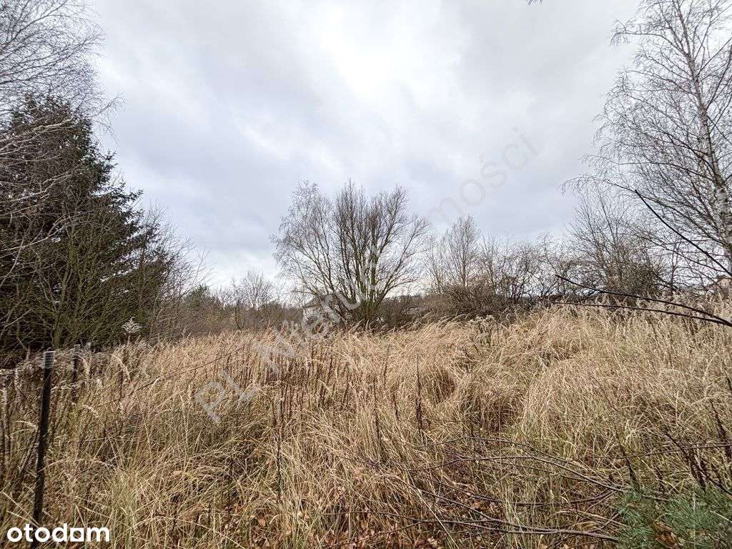 Działka, 2 172 m², Książenice - Pełny obrazek: 4/4