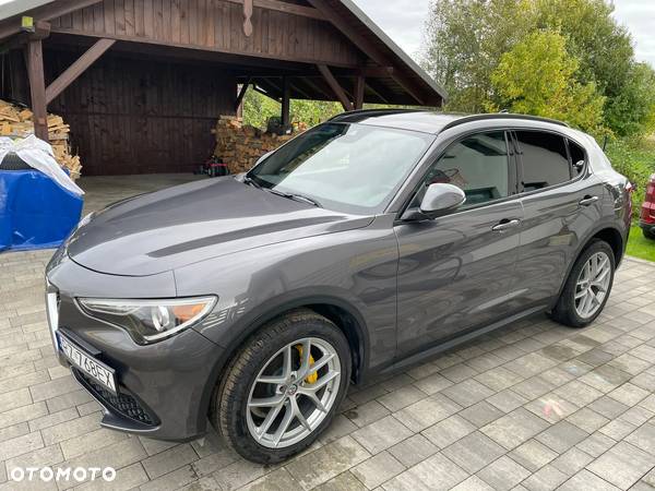 Alfa Romeo Stelvio 2.0 Turbo 16V AT8-Q4 Lusso Ti - 1