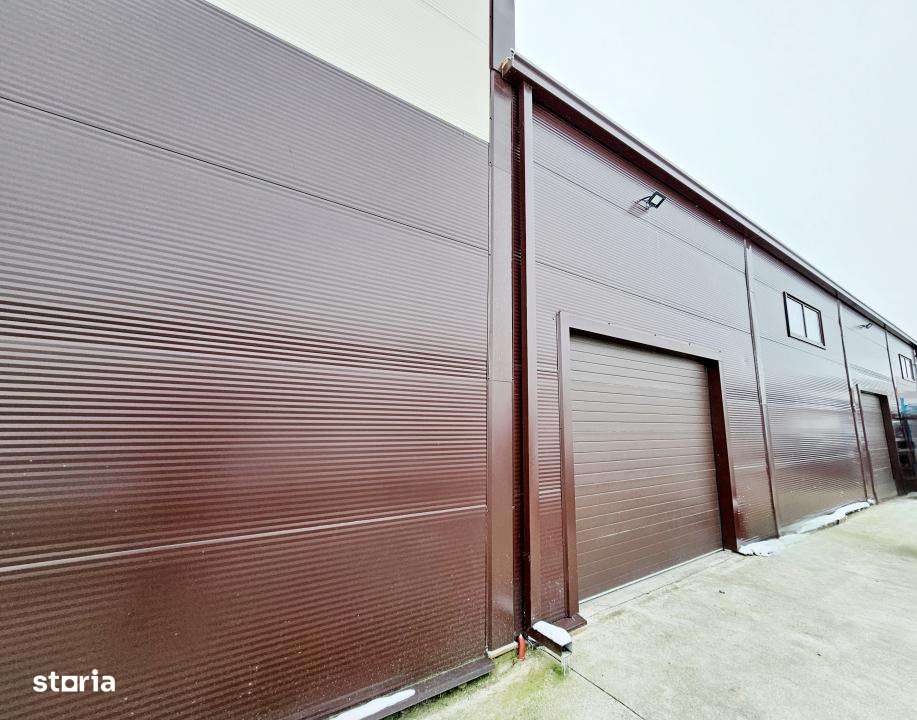 Hala, Mosnita Noua-3