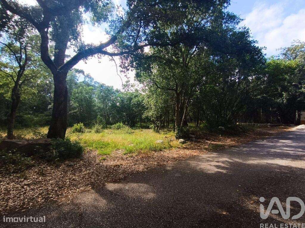 Terreno em Aljubarrota de 2112,00 m2 - Grande imagem: 2/27