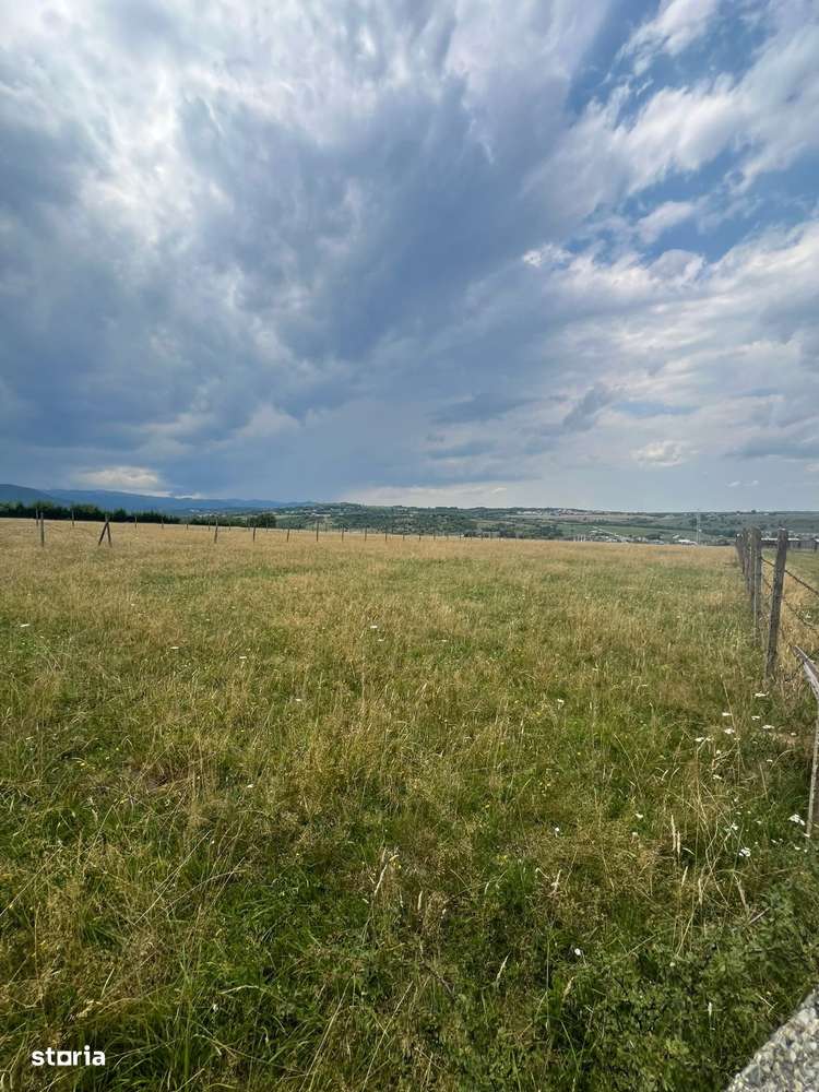 Teren extravilan Cisnadie, Str. Selimbarului – 2.380 mp - Imagine principală: 2/6