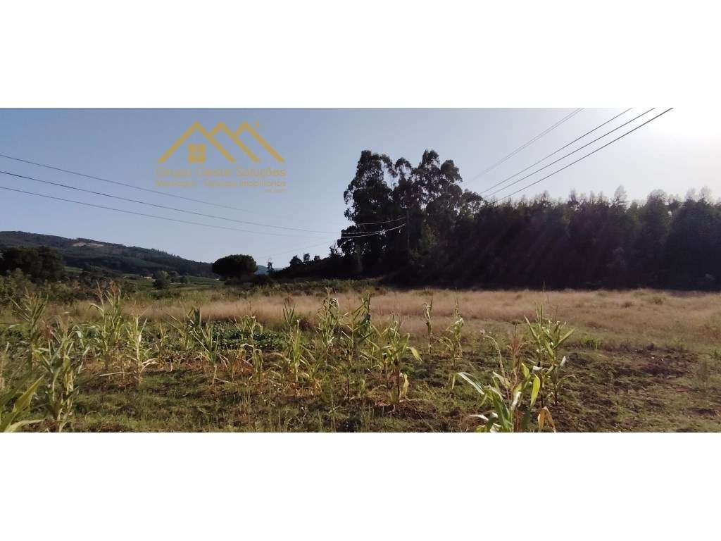 Terreno Rustico, Maxial e Monte Redondo - Grande imagem: 3/13