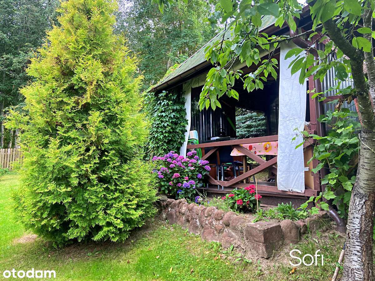 Wyjątkowa DZIAŁKA NAD J. SZELMENT WIELKI! Domek, Woda, Szambo, Prąd!-6