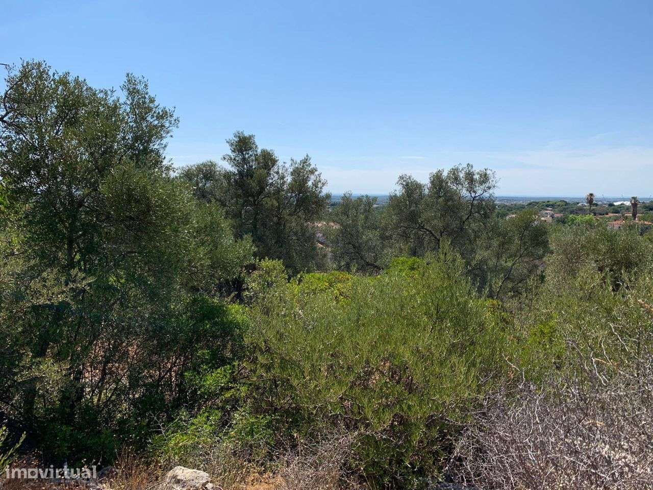 Terreno Urbano, com 3 artigos, Colmeal-30