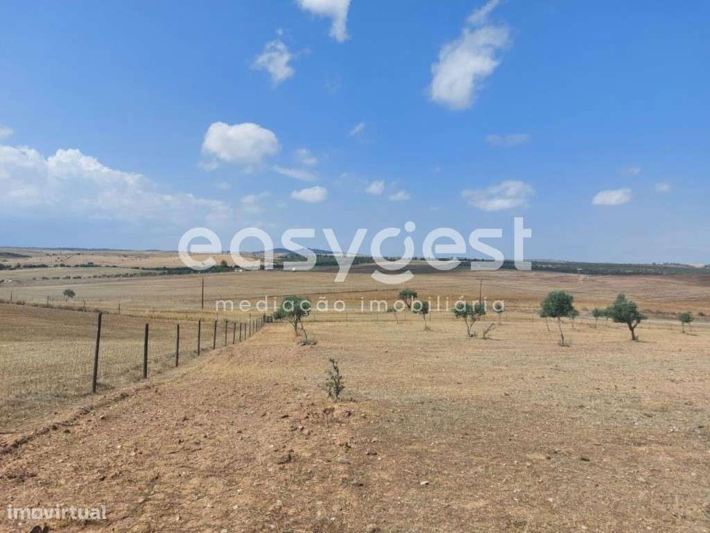 Terreno Rústico com 34.750m2 localizado na freguesia de Alcaria Ruiva - Grande imagem: 5/20