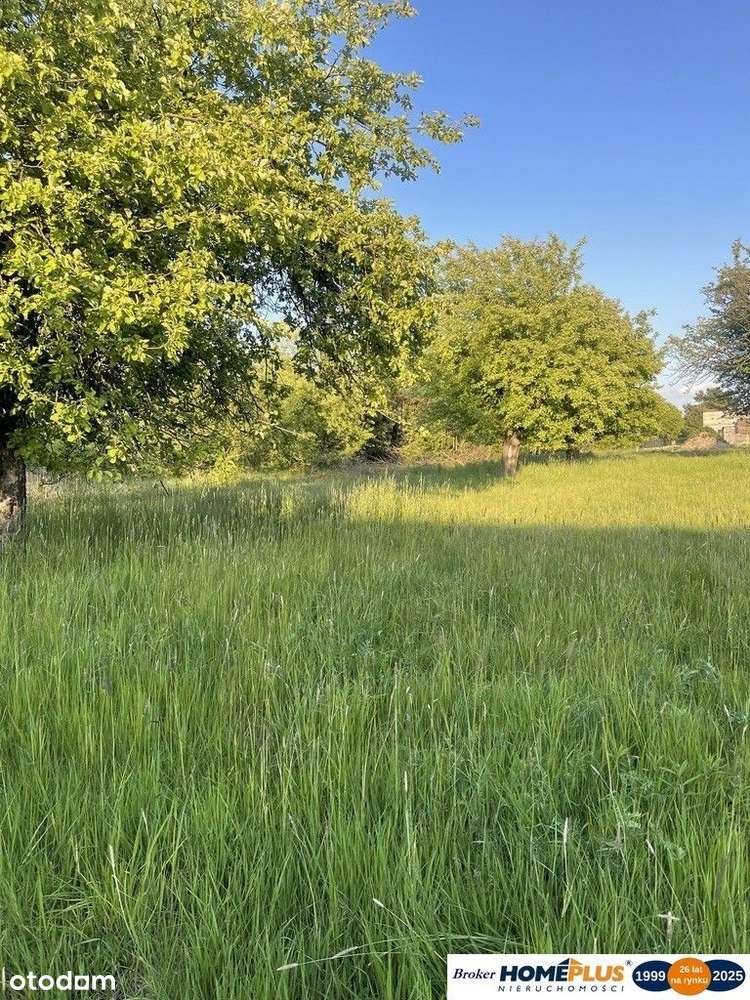 Działka 2519 m² pod zabudowę jednorodzinną - Pełny obrazek: 5/6