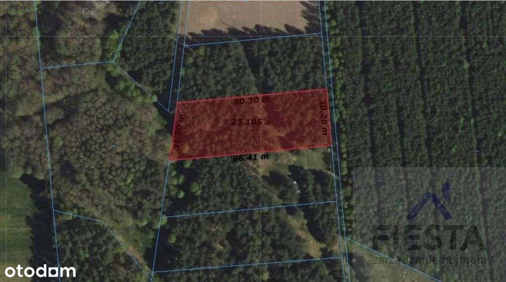 Działka, 2 500 m², Sosnowo - Pełny obrazek: 5/5