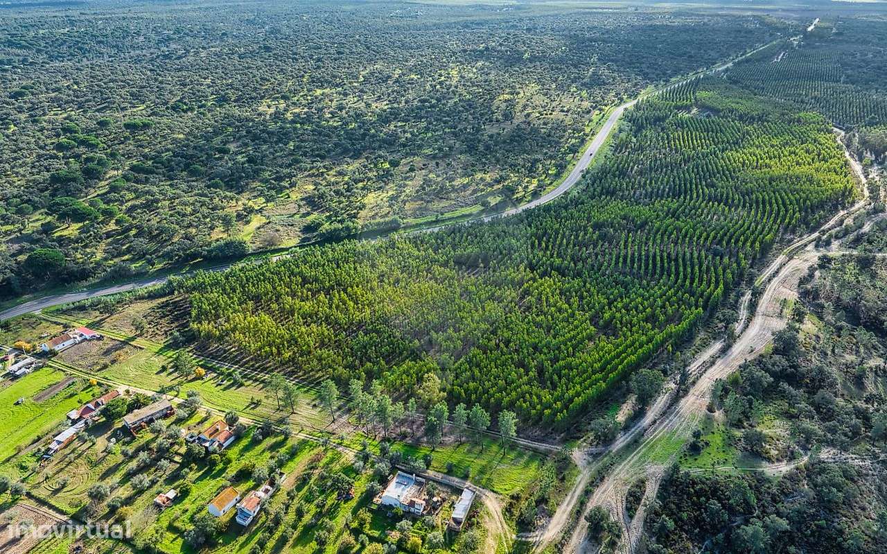 Terreno  para venda - Grande imagem: 4/22