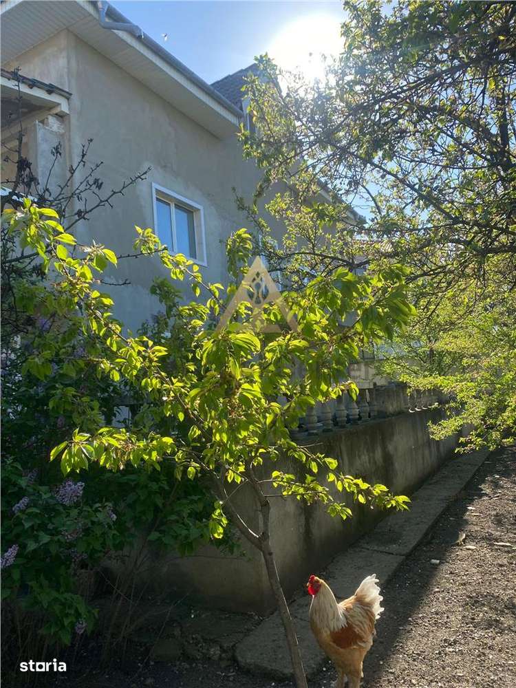Vila P + 1 si  teren atat ptr.bussines cat si ptr locuit Onesti - Imagine principală: 4/14