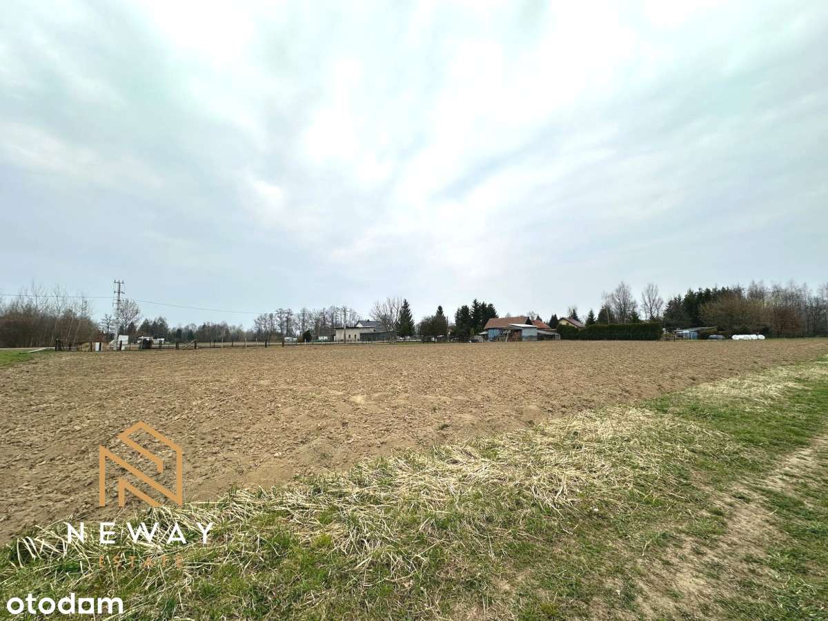 Działka Inwestycyjna w Brzezince I Kraków - Pełny obrazek: 4/7