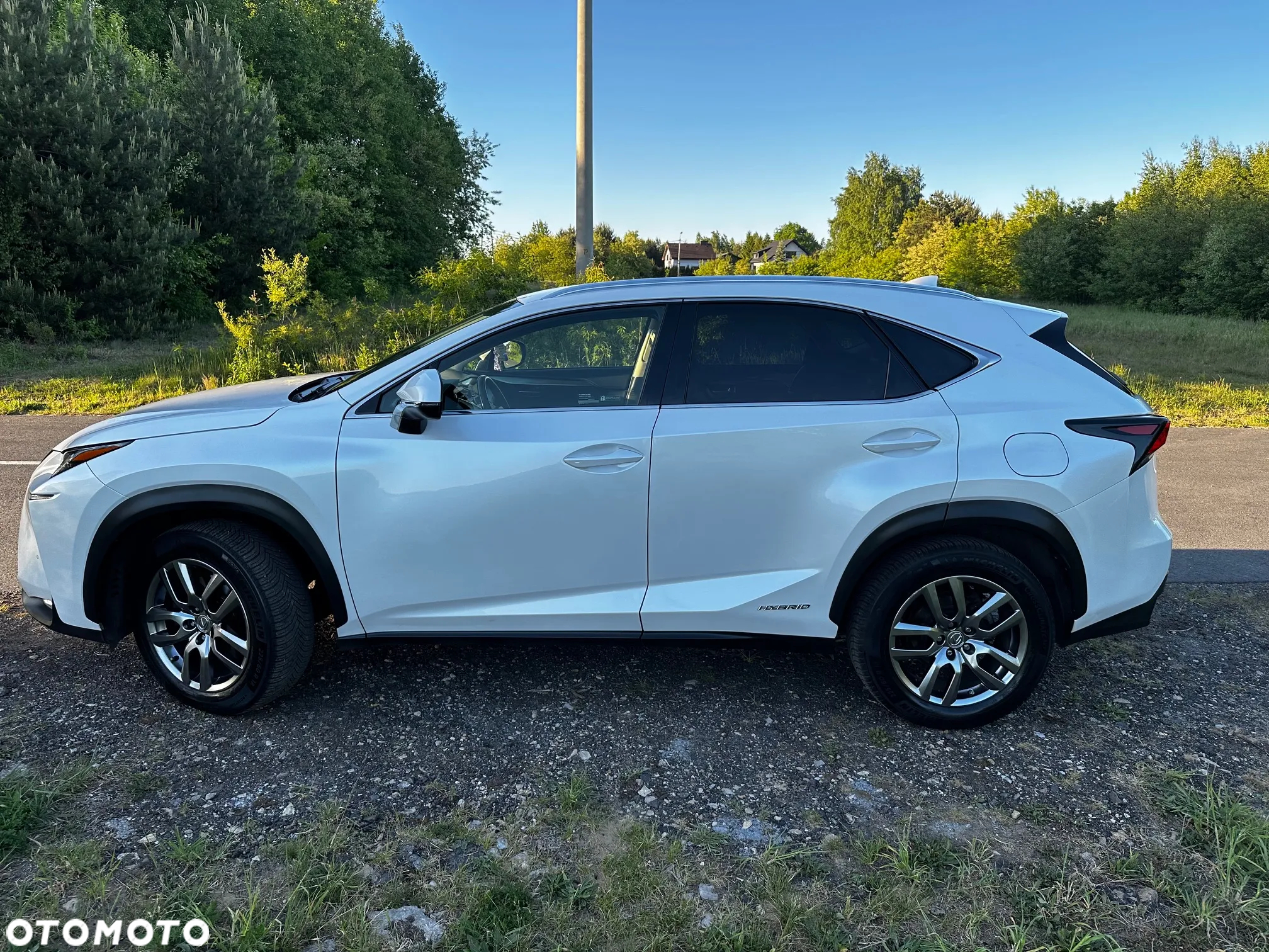 Lexus NX - 14