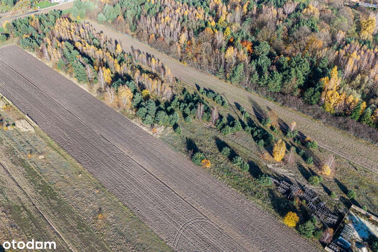 Działki budowlane w Jadwininie, gmina Pabianice - Pełny obrazek: 4/5