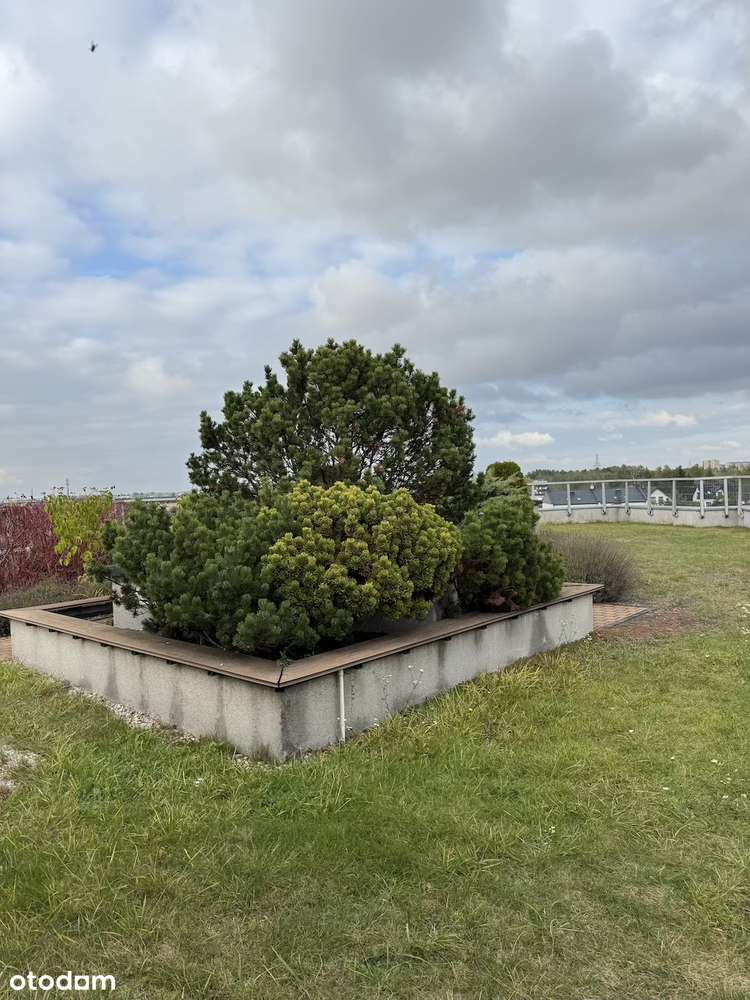 Przestronne  3 pokojowe z balkonem I ul.Gałczyńskiego I Taras na dachu-16