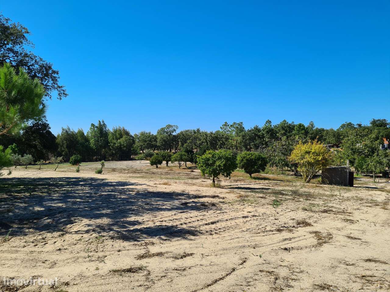 Quinta de 4 Hectares com Vista Mar e Potencial de Expansão –... - Grande imagem: 4/22