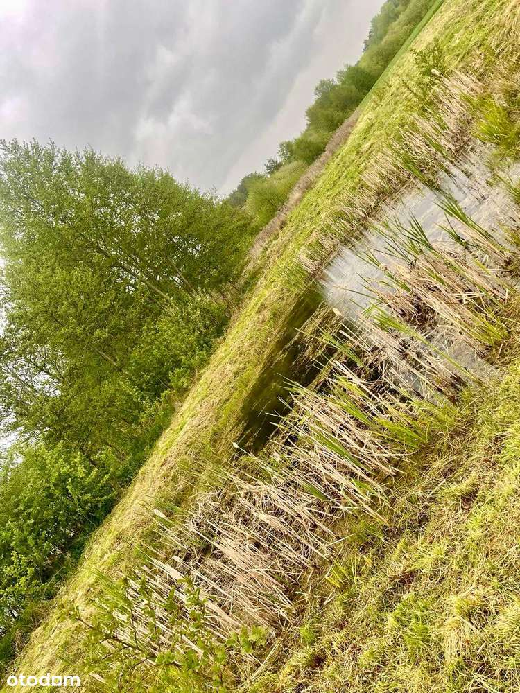 Malownicza działka z pozwoleniem - Pełny obrazek: 4/13