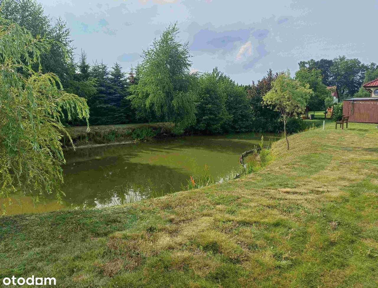 NOWY ZAMEK Piękny dom, duża działka z własnym stawem w Dolinie Baryczy - Pełny obrazek: 5/20