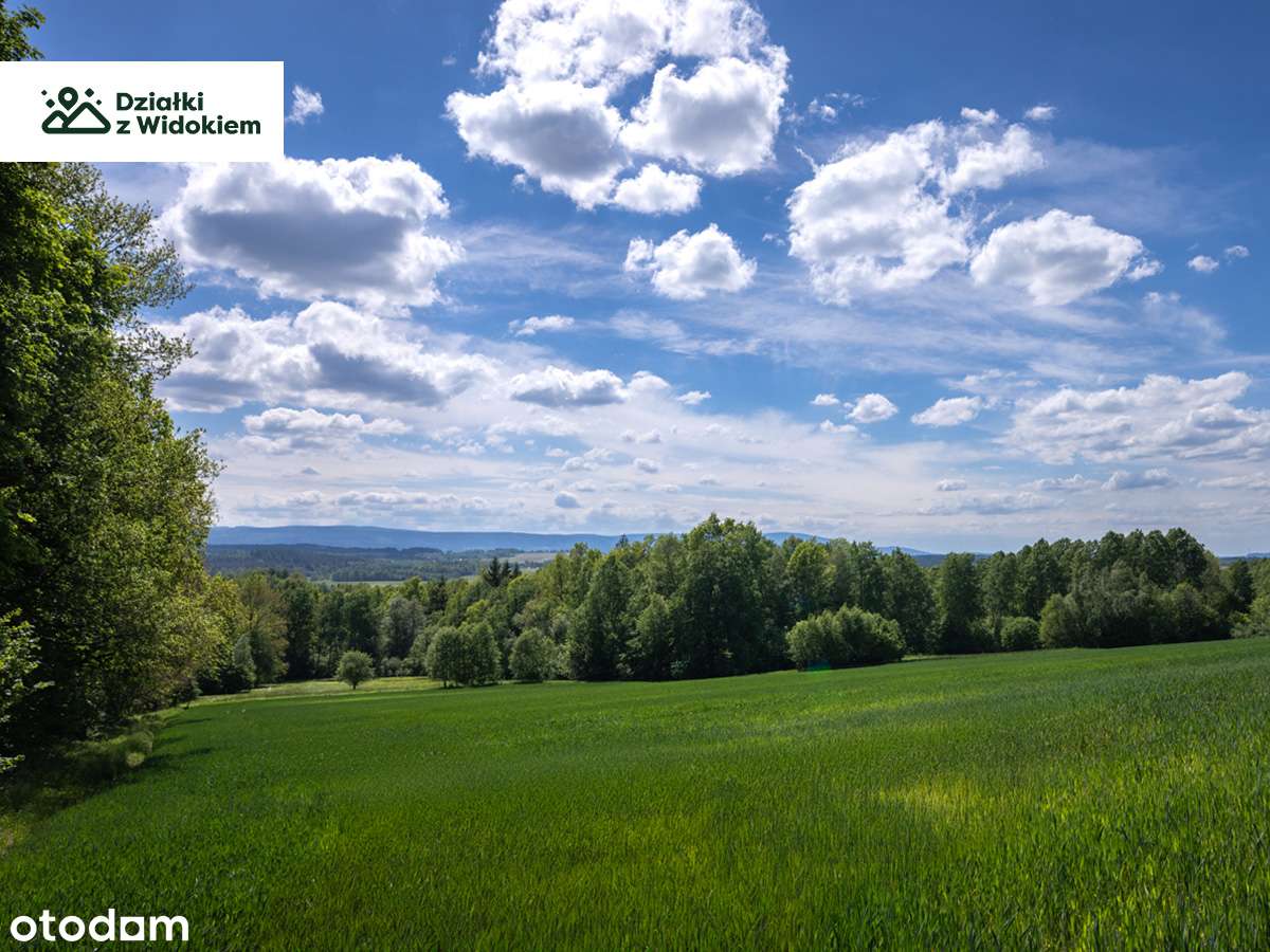 Wojciechów - działka siedliskowa z pięknym widokiem na Góry Izerskie - Pełny obrazek: 5/6