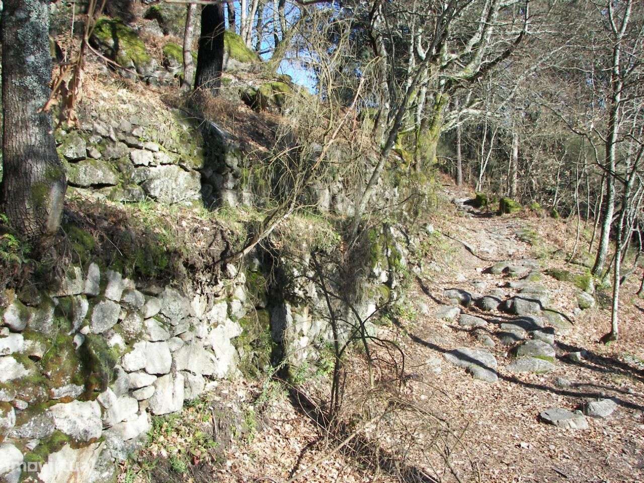 Terreno com 3851m2 em Vila Cova, Fafe - Grande imagem: 4/13