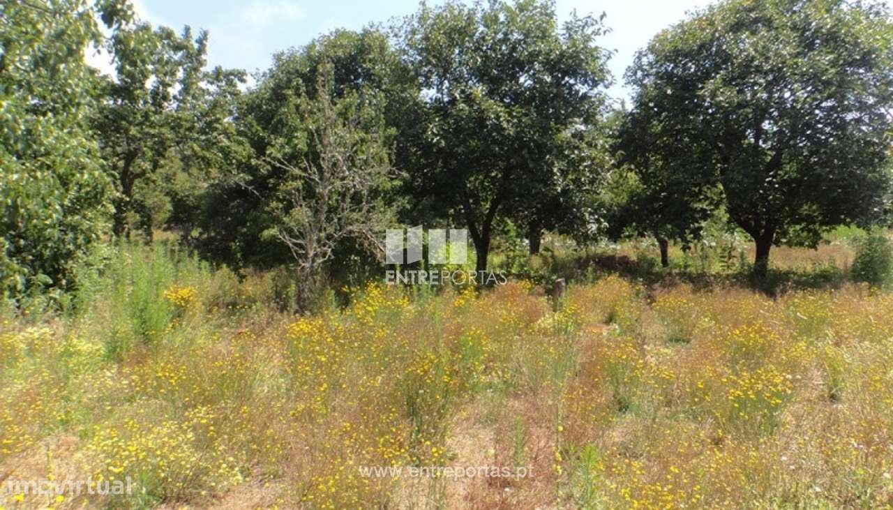 Venda de Terreno, Meadela, Viana do Castelo - Grande imagem: 5/10