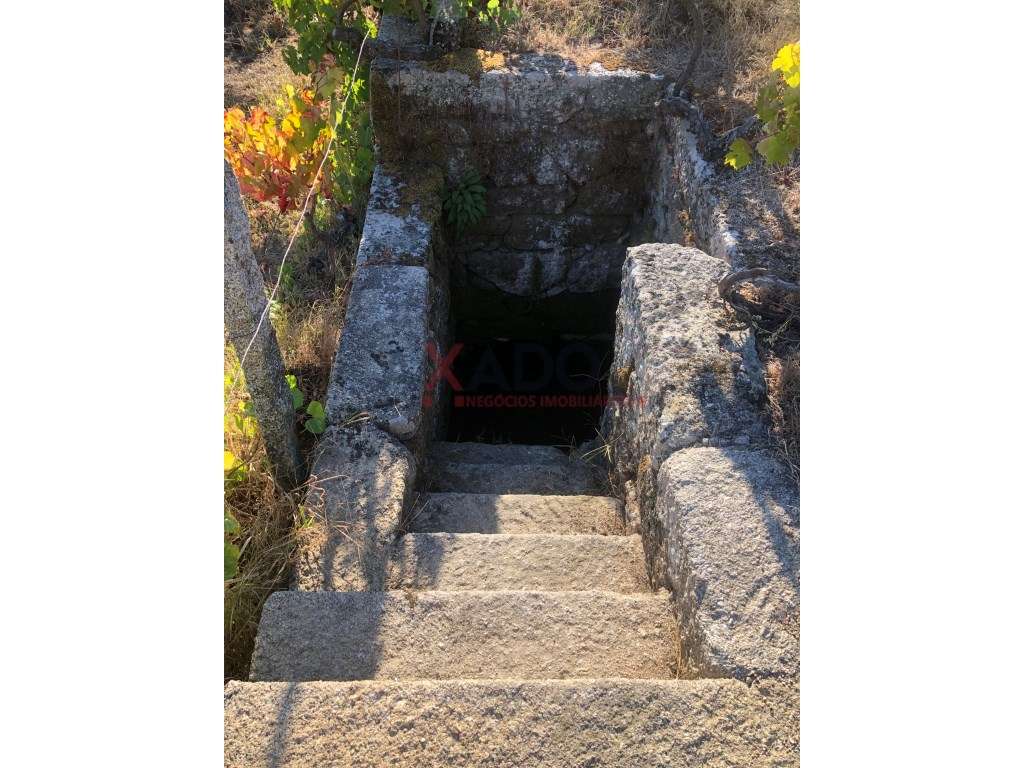 Terreno para construção com projeto aprovado - Grande imagem: 5/10