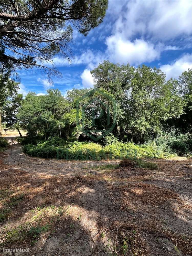 Quinta >=T10 Venda em Cortiçadas de Lavre e Lavre,Montemor-o-Novo-23