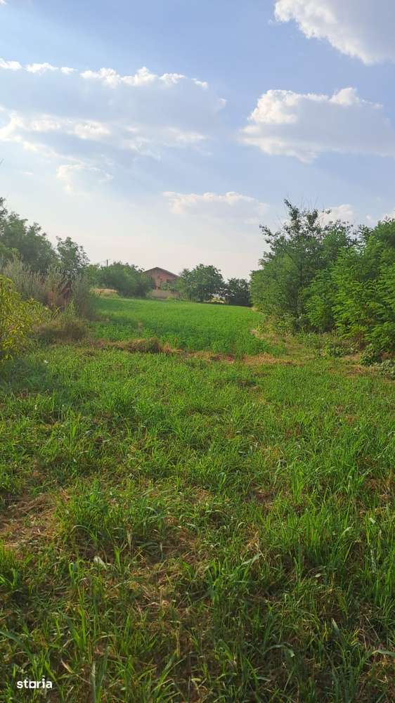 Teren 3000mp de vânzare în zonă liniștită - Imagine principală: 5/5