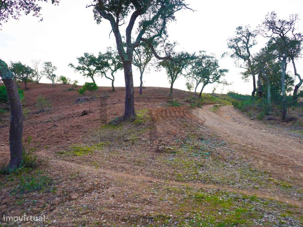 Terreno para Venda com 34 Hectares com Ruina na Serra de Grândola /...-18