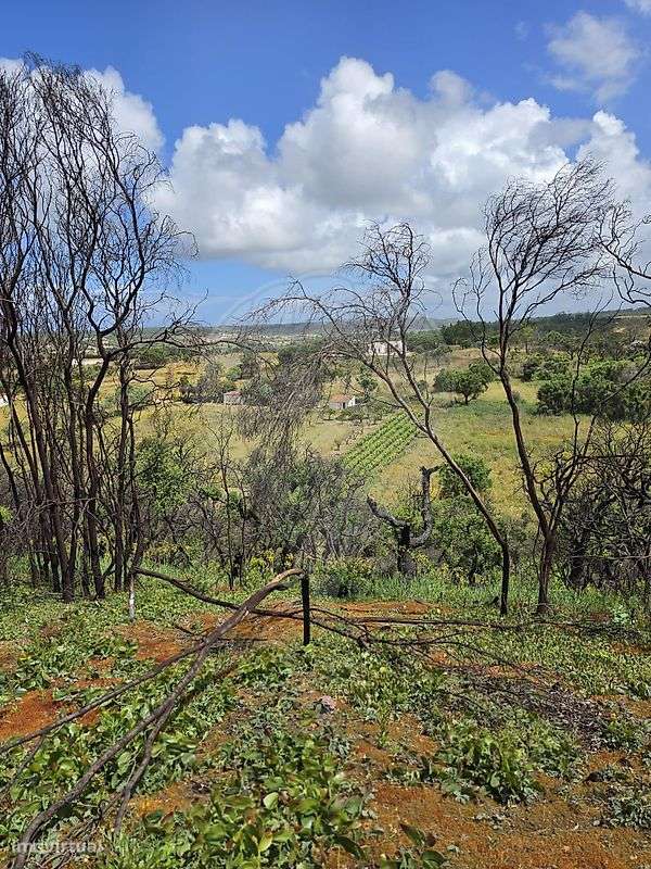 Terreno  para venda-1