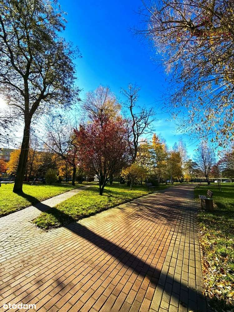 M4 do własnej aranżacji w cichej zielonej okolicy!-7